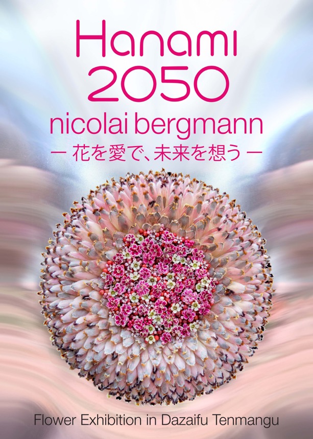 Hanami2050.jpeg